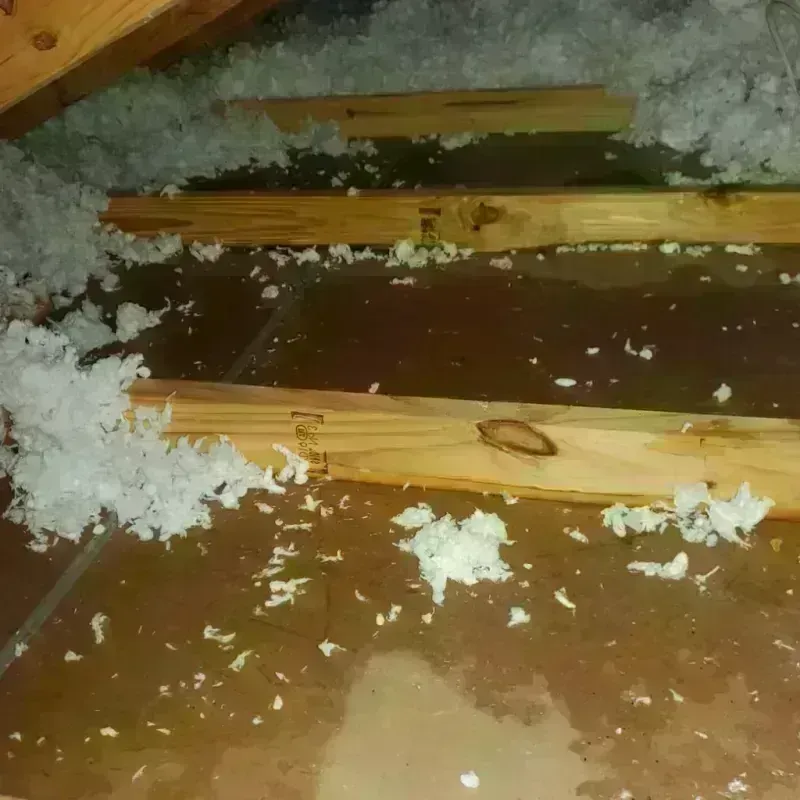 Attic Water Damage in Lunenburg, VA